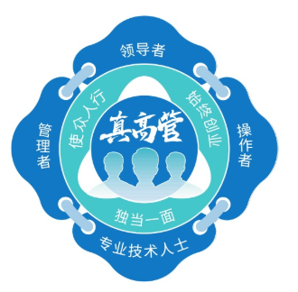 真高管角色四合一